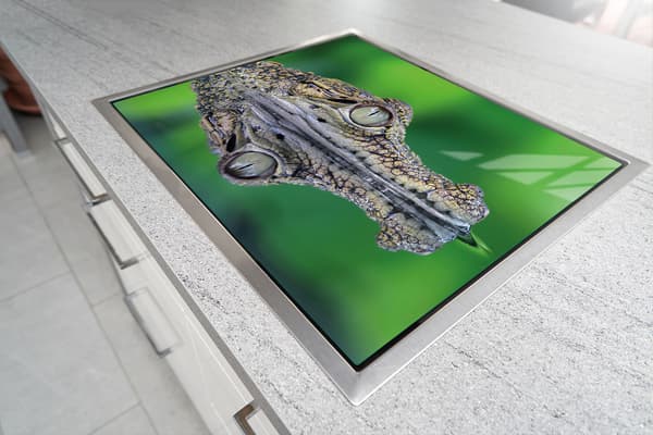 SKÄRBRÄDA I GLAS 52x30 KROKODIL