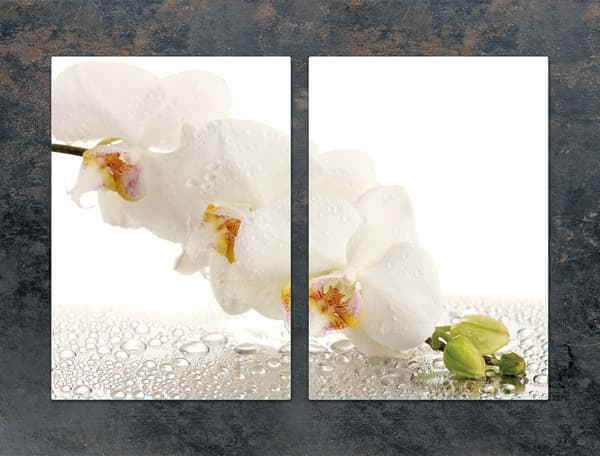 GLASPLADE TIL KØKKEN 2x35x52 ORCHID