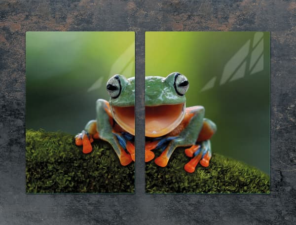 LASISUOJALEVY 75x52 SAMMAKKO