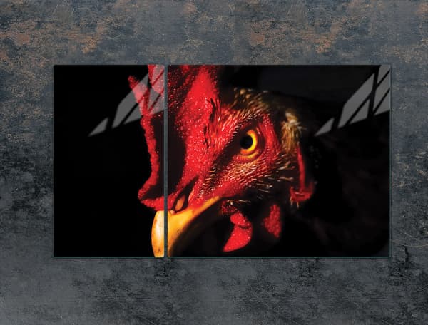 GLASSKYDDSPLÅT FÖR SPIS 90x52 ROOSTER
