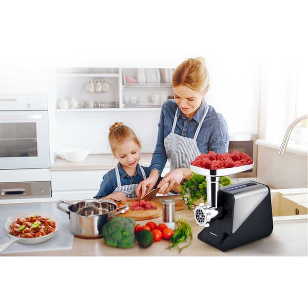 Köttkvarn BD-602 Berdsen 800/2000W