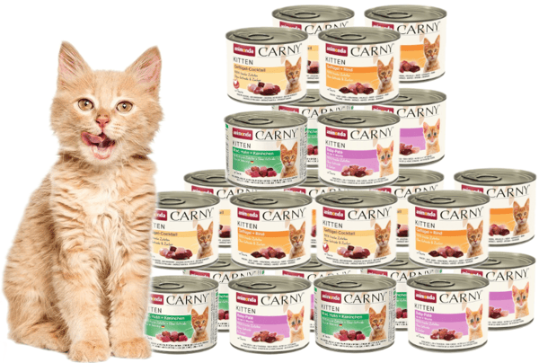 Våtfoder för kattungar ANIMONDA Carny Kitten Mix av smaker Set 24x200g