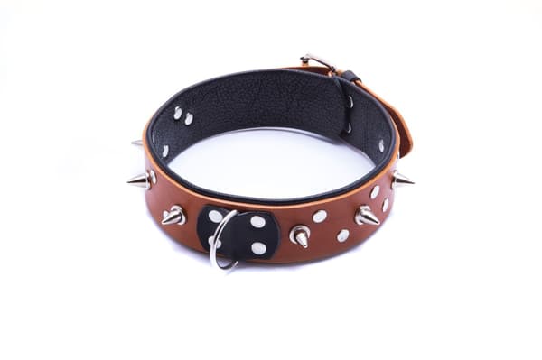 Herrhalsband med koppel, Cognac