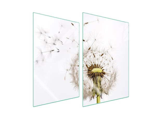 GLASSKYDDSPLATTA FÖR KÖK 2x35x52 BLOMMA