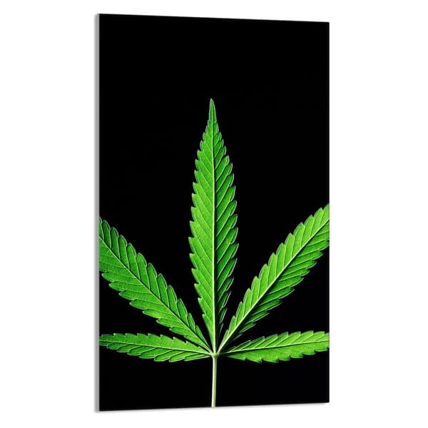GLAS SKÆREBRÆT 30x52 BLAD