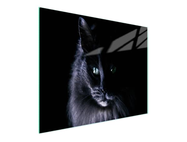 GLAS SKÆREBRÆT 52x30 KAT