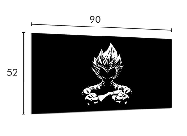 Glasskydd för spishäll 90x52 Anime