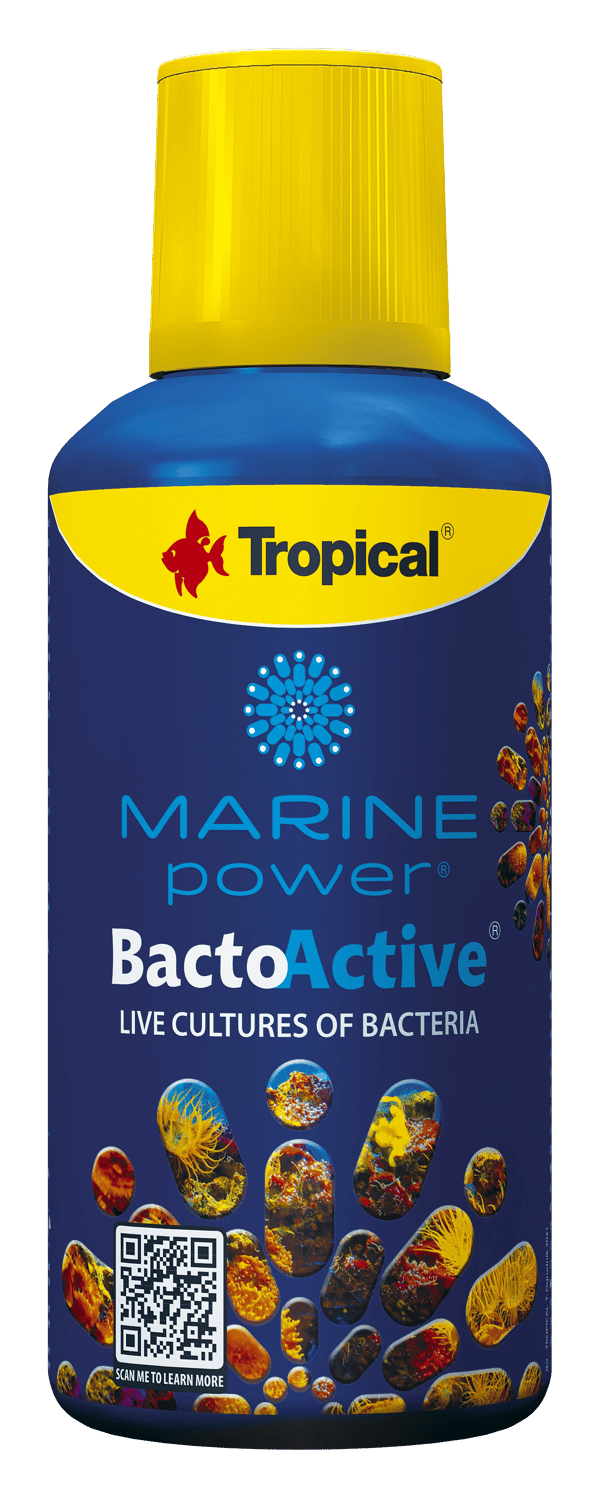 Tropical Bacto Active 250 ml - Bakterie