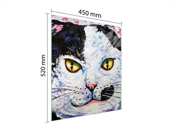 LASINEN LEIKKUULAUTA 45x52 KISSA