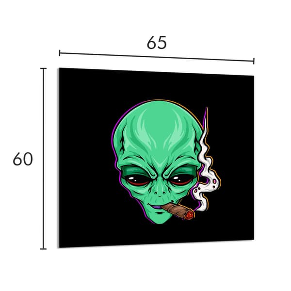 GLASPANEL TIL KØKKEN 65x60 UFO