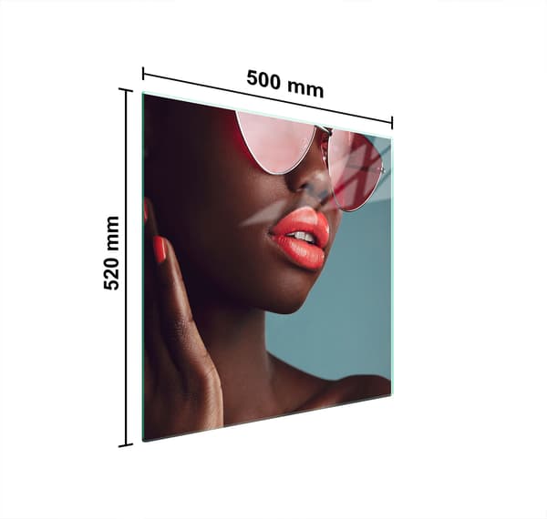 GLASSKYDDSPLÅT FÖR SPIS 50x52 DAM