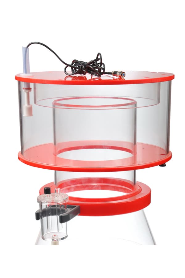 Regal Protein Skimmer 250 - S OCTO