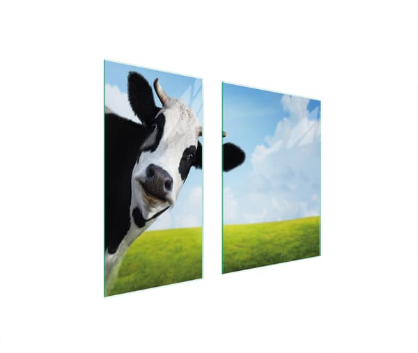 GLASBESKYTTELSESPLADE 75x52 COW