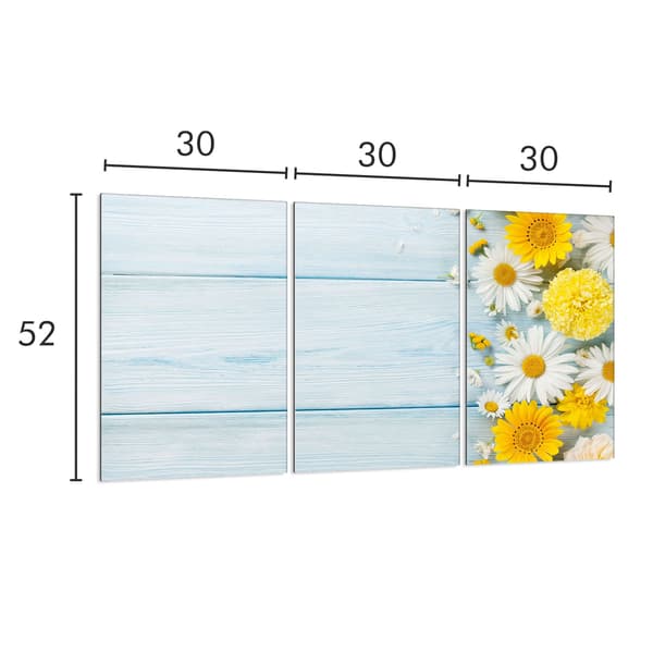Skyddsplatta i glas för spis 3x30x52