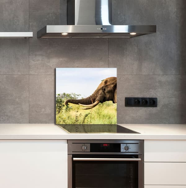 KEITTIÖN LASIPANEELI 65x60 Elephant