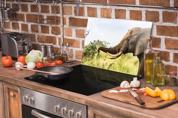 GLAS SKÆREBRÆT 52x30 ELEFANT