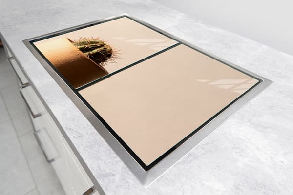 GLASSKYDDSPLÅT FÖR SPIS 85x52 CACTUS