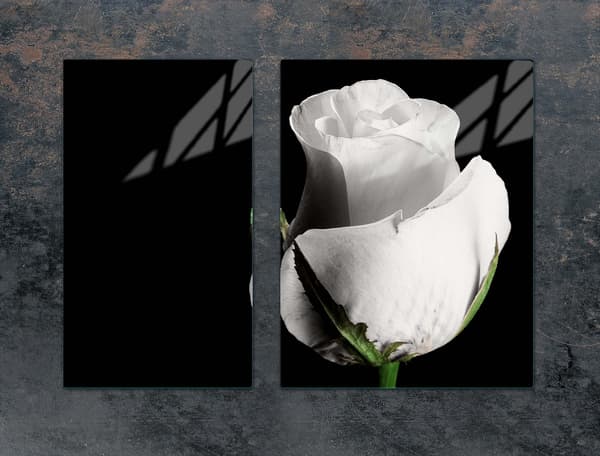 GLASSKYDDSPLÅT FÖR SPIS 70x52 ROSE