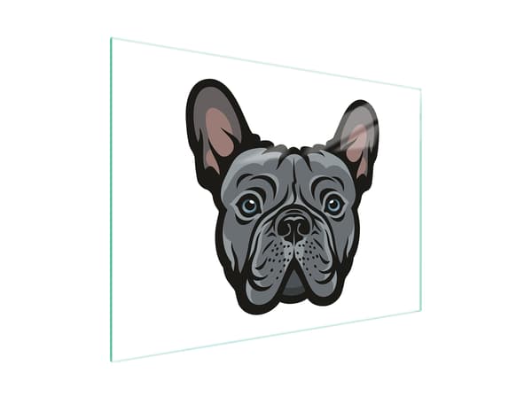 GLAS SKÆREBRÆT 40x30 HUND