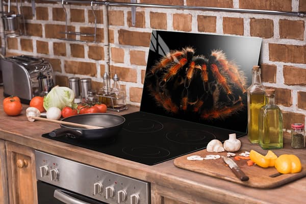 LASINEN SUOJALEVY LIEDELLE 70x52 SPIDER