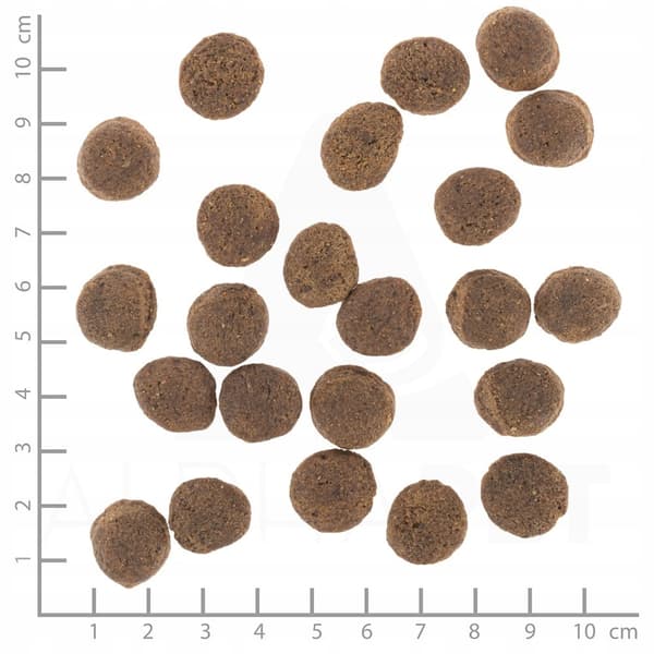 WOLFSBLUT VETLINE GASTROINTESTINAL torrfoder för hundar 12 kg