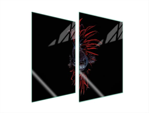 GLASSKYDDSPLATTA FÖR KÖK 2x35x52 FISK