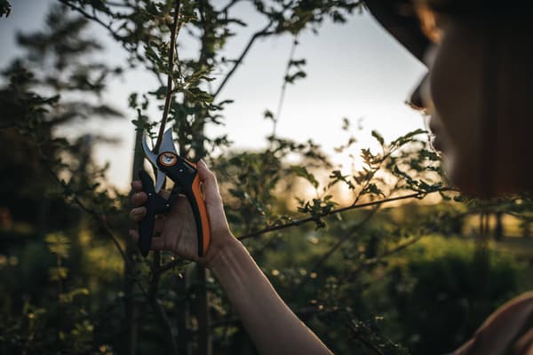 FISKARS PLUS Let enhåndssaks til havegrene og skud