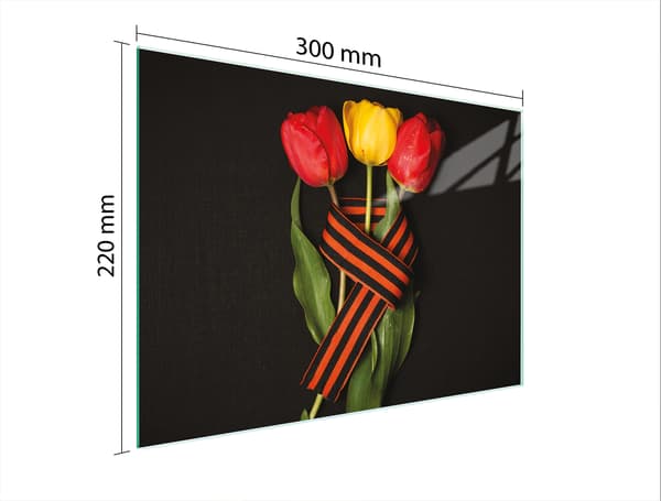 GLAS SKÆREBRÆT 30x22 ROSER