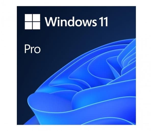 MS Windows 11 Professional 64-bitars polsk 1-pack DVD OEM