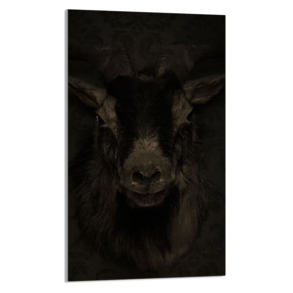 SKÄRBRÄDA I GLAS 30x52 Koza