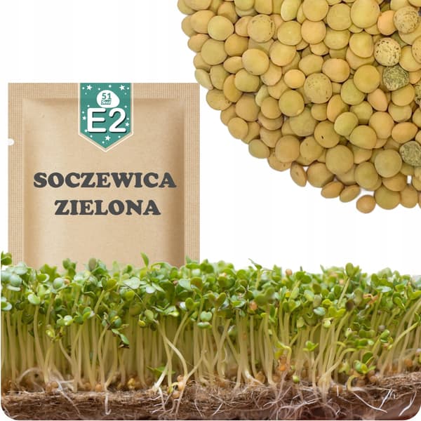 51Seed E02 SPIRER FRØ GRØNNE LINSER 20G