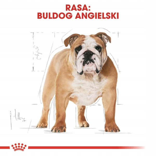 Royal Canin SHN Breed Bulldoggfoder 12 kg