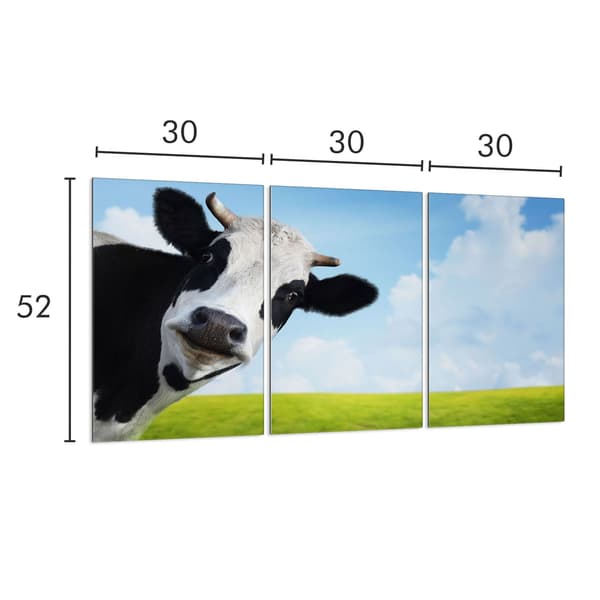 Lasinen suojalevy liedelle 3x30x52