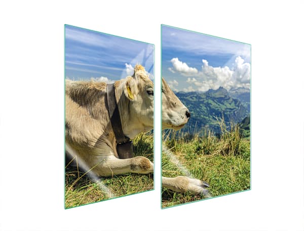 GLASPLADE TIL KØKKEN 2x35x52 COW