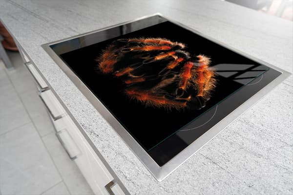 GLASSKÆREBRÆT 52x40 SPIDER