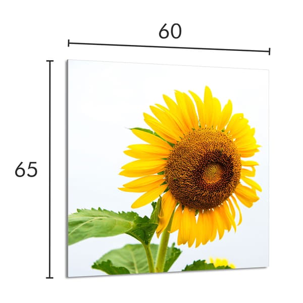KEITTIÖN LASIPANEELI 60x65 Kukka