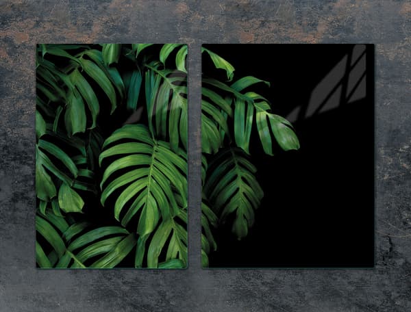 GLASBESKYTTELSESPLADE 75x52 MONSTERA
