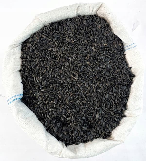 51 foder svart solrosolja 10 kg