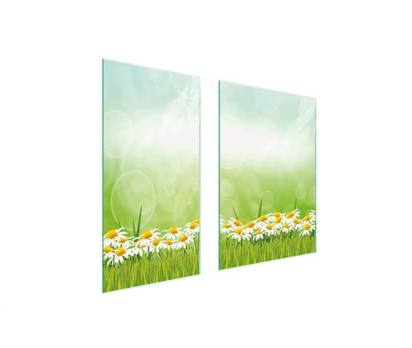 GLASBESKYTTELSESPLADE 75x52 DAISY