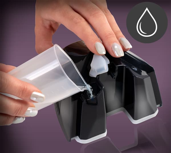 2000W damper Berdsen BD-300 tøjdamper