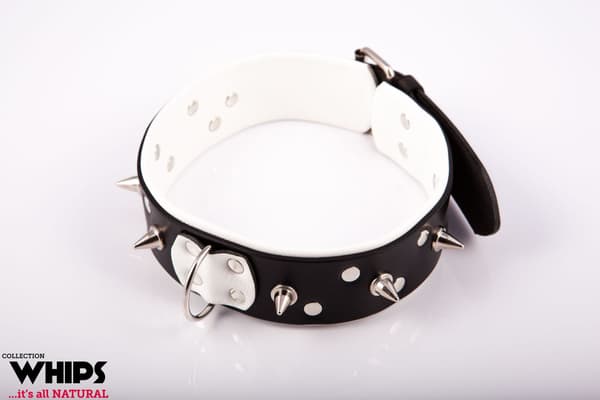 Herrhalsband med koppel Vit
