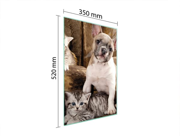 GLAS SKÆREBRÆT 35x52 HUND
