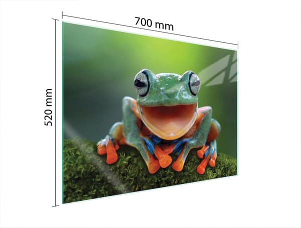 GLASSKYDDSPLÅT FÖR SPIS 70x52 FROG