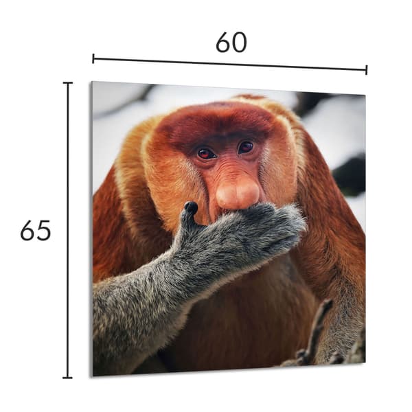 GLASPANEL TIL KØKKEN 60x65 Nosacz