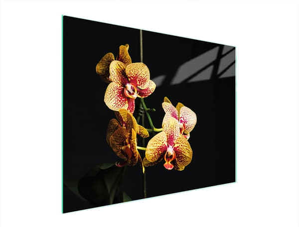 SKÄRBRÄDA I GLAS 52x40 ORCHID