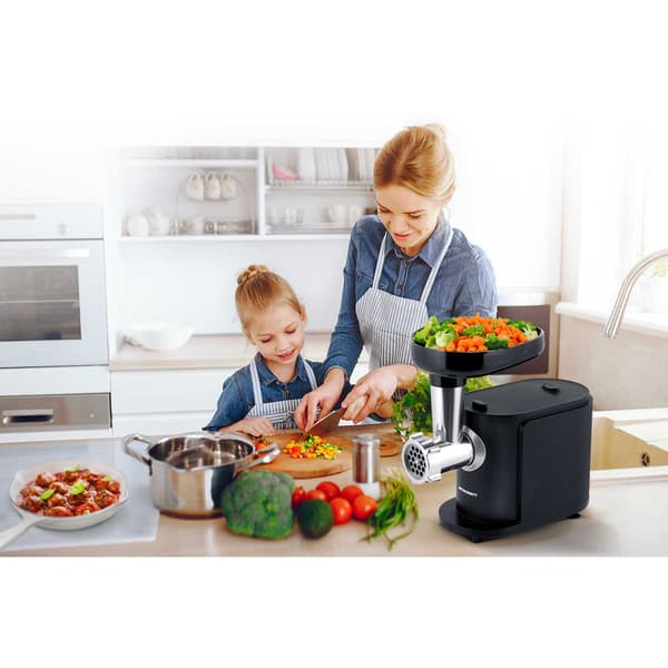 Köttkvarn BD-600 Berdsen 300/800W
