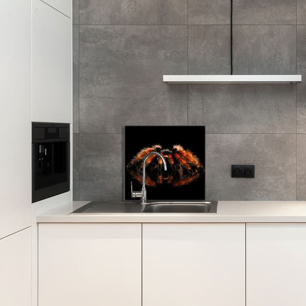 KEITTIÖN LASIPANEELI 65x60 Hämähäkki