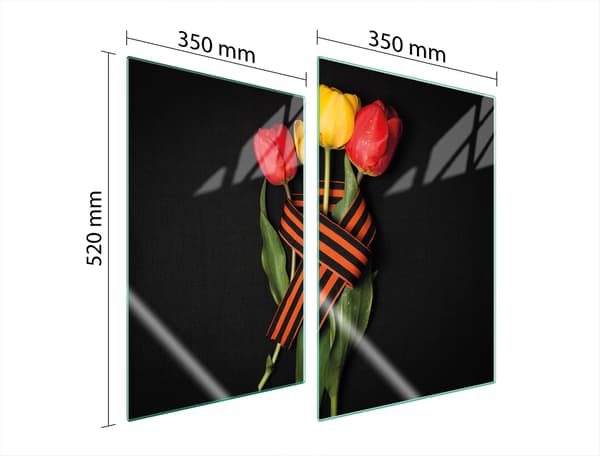 GLASPLADE TIL KØKKEN 2x35x52 ROSES