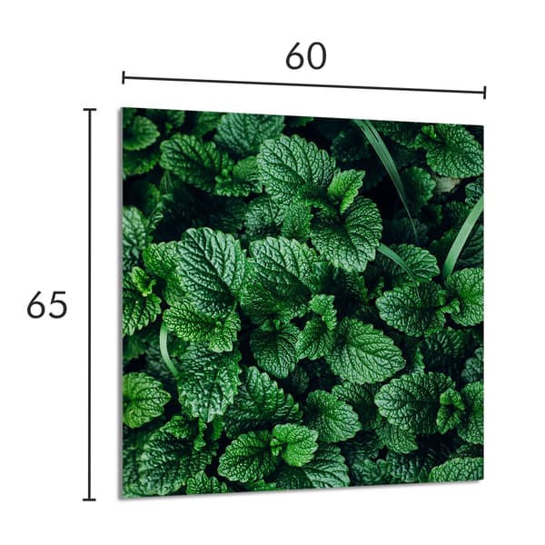 GLASPANEL FÖR KÖK 60x65 Melisa