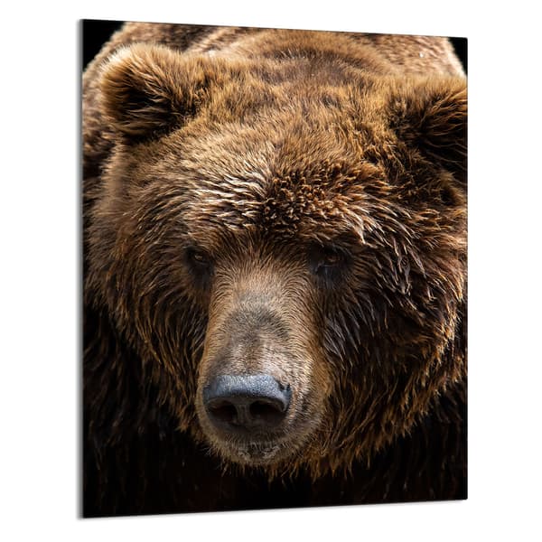 GLASSKÆREBRÆT 40x52 Bamse